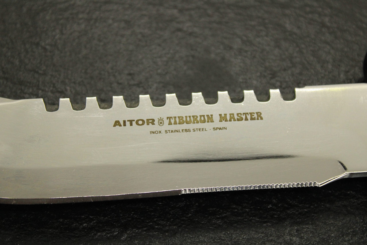 Aitor TIBURON MASTER